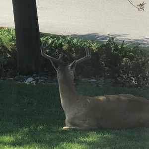 Meet your Posher, Matt